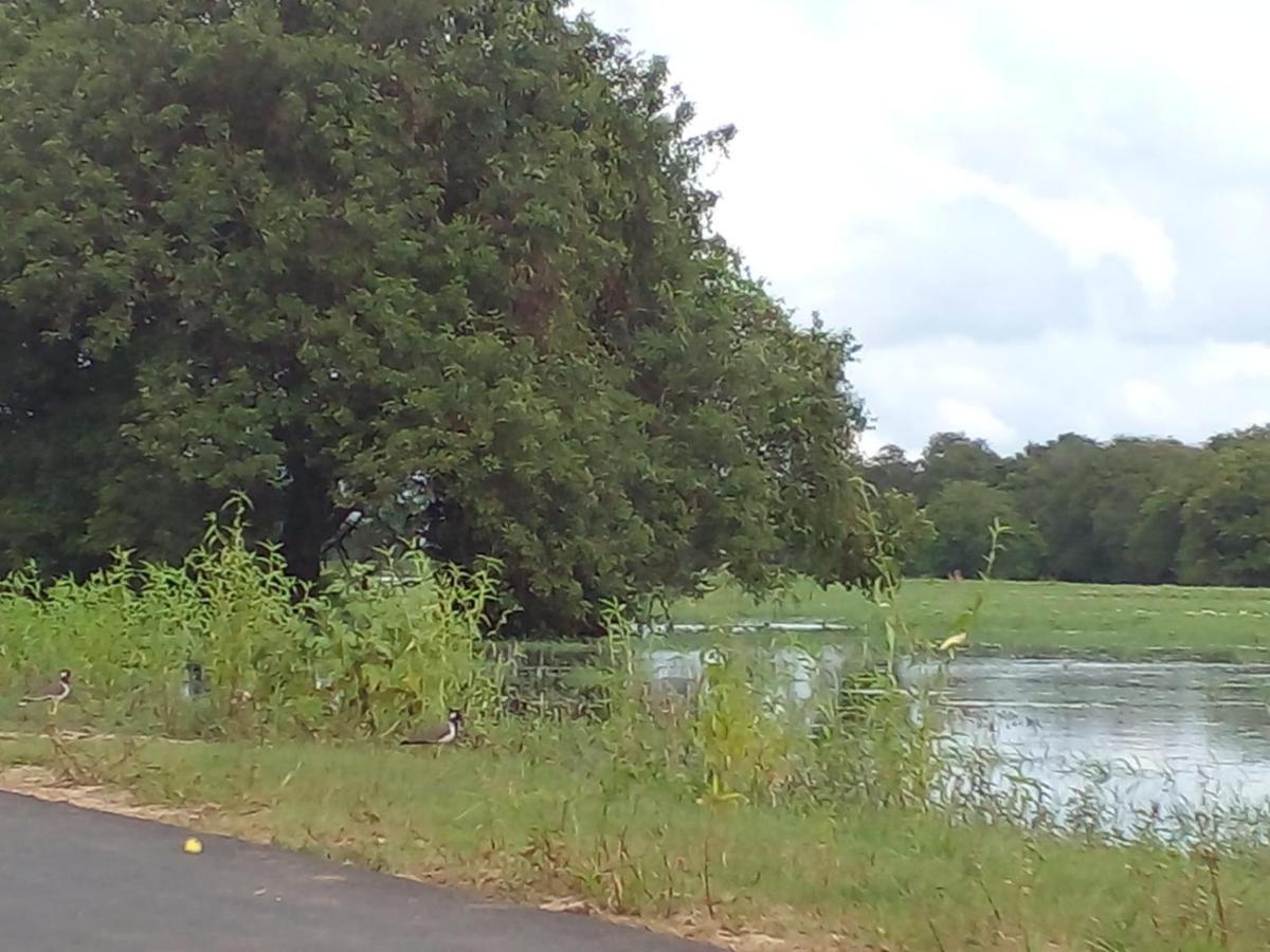 Lake Edge Dambulla Exterior foto