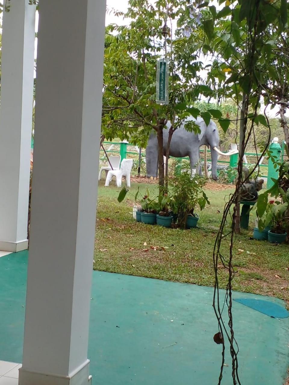 Lake Edge Dambulla Exterior foto
